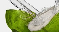 /album/galeria/agua-de-coco-jpg/