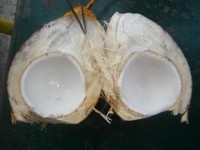 /album/galeria/cococarne1-jpg/