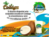 /album/galeria/volantes-png/